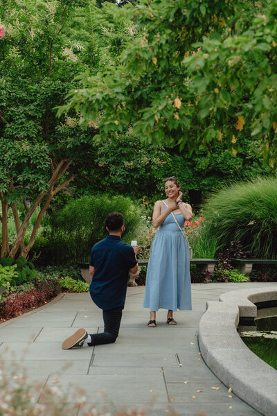 A couple gets engaged in the conservatory gardens in central park