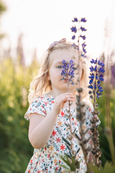 Young girl gently smelling a lupine flower in a blooming field, surrounded by soft purple hues.