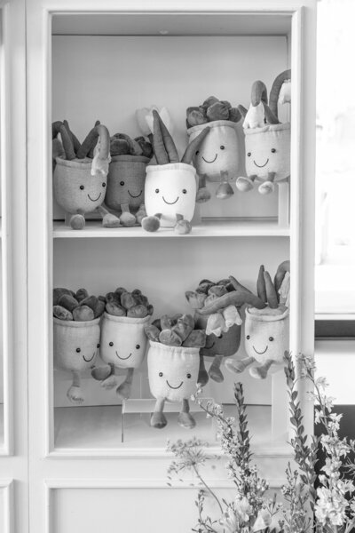 Black and white image of stuffed succulent plants sitting on shelves at an event by Fancy Chancey in San Diego CA
