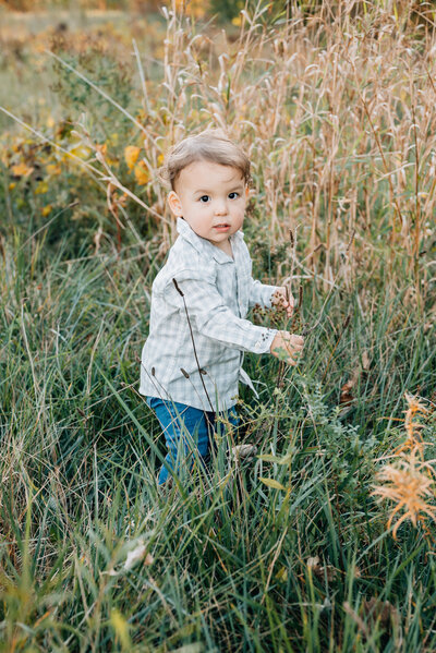 Curious toddler boy exploring an open field, walking through tall grass.