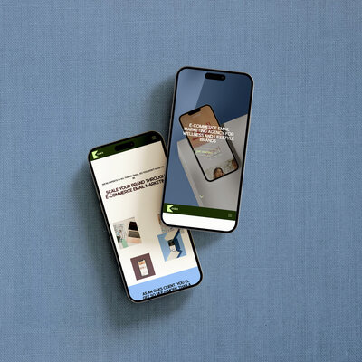 Acorn Digital Strategy collaborated with OAKS Email Studio to build effective website copy wellness and lifestyle e-commerce brands.