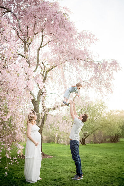 spring maternity session in the cherry blossoms