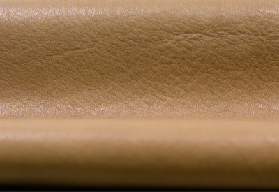 Chamois Bonita Leather