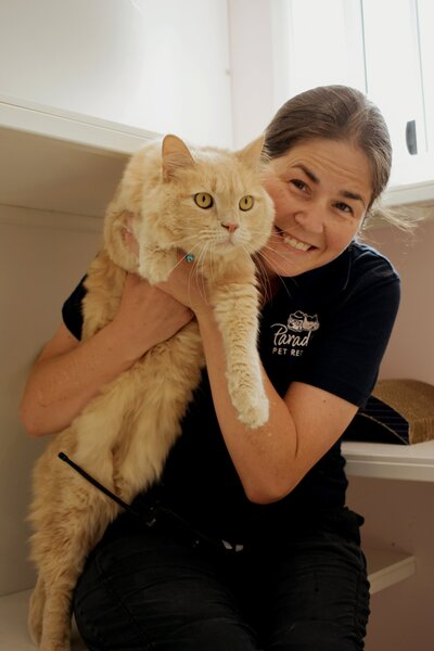 Paradise Pet Retreat Cat Boarding