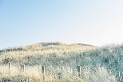 loveshoot strand natuur noord-holland