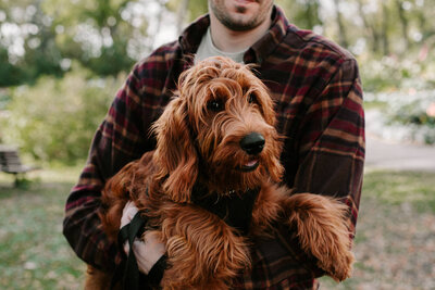 Winnipeg Pet Photography