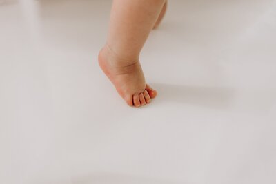 Einrichtung Fotostudio