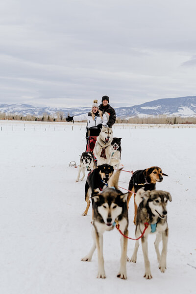 dogsledproposal-105