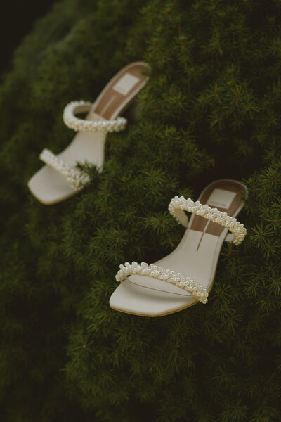 Grand Rapids Garden Wedding Photographer-1
