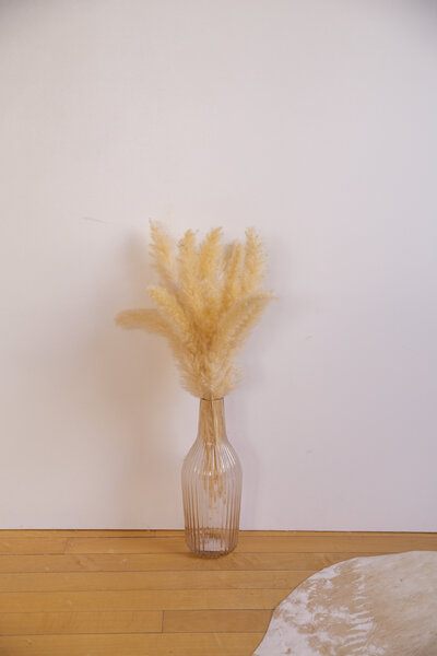 Small pampas grass in a clear vase.