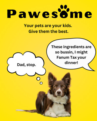 Pawesome Copy Ad 3