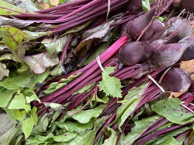 Red beets