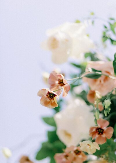 elegant-wedding-ring-on-flower