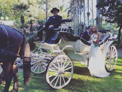 champagne wedding carriages