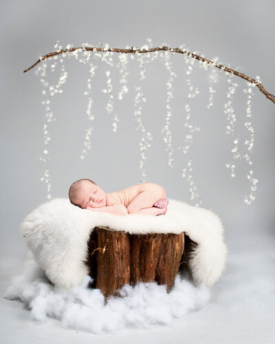 newborn on log studio snow