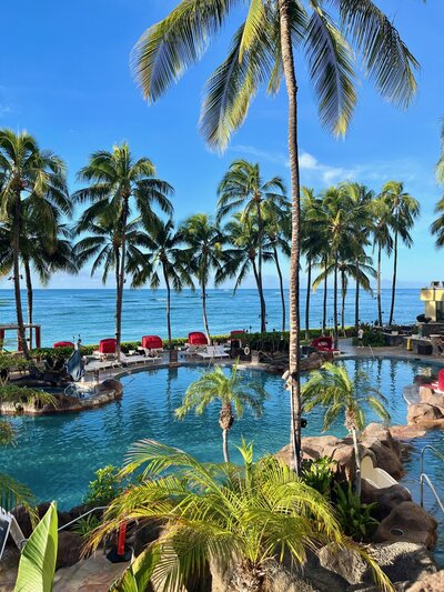 a tropical lagoon surrounded by palm trees