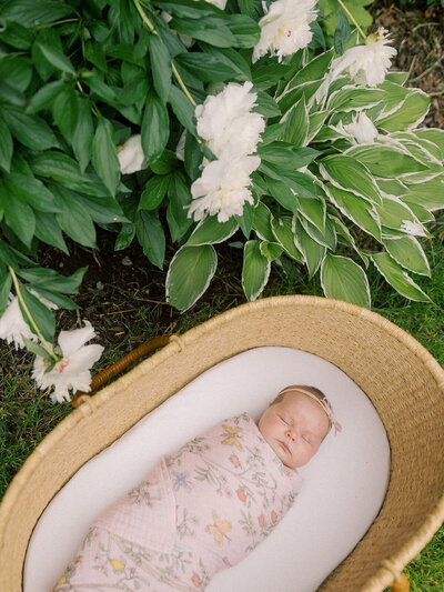 Newborn baby in bassinet near flowers