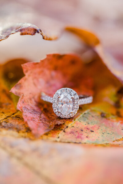 kayla_matt_engaged-0787