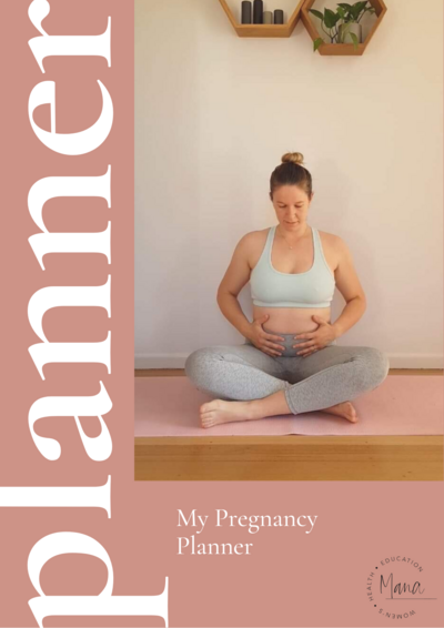 PREGNANCY PLANNER-2