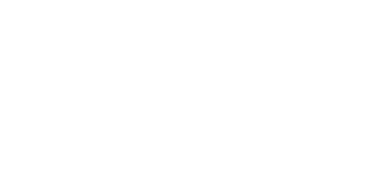 Go Solo logo.