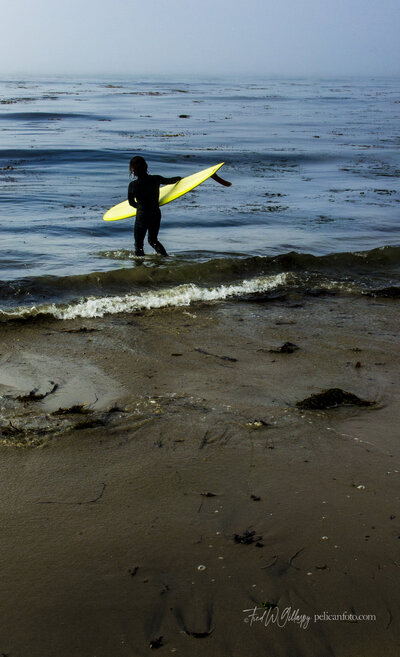 Lone girl with bright yellow surfboard ventures out into Monterey Bay for a morning of surfing at Pleasure Point, Santa Cruz, CA.