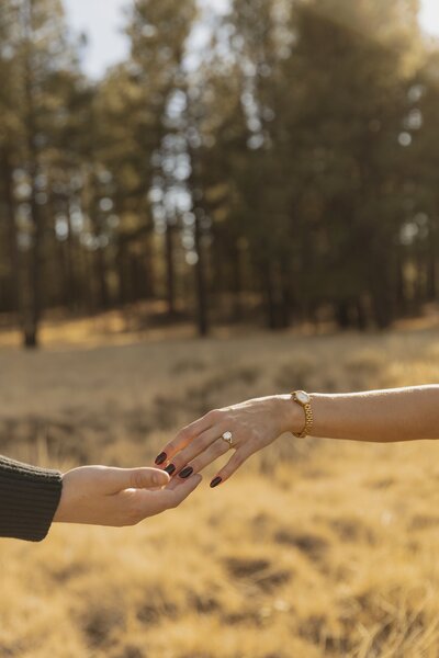 kenzie pellerins portfolio image of couple holding hands in arizona