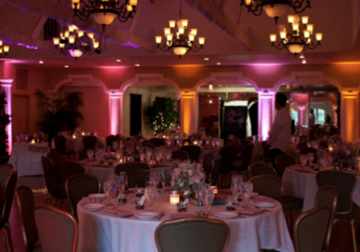 Envision your event being transformed with the most beautiful colors of your choice.  Special FX lighting with beams of turquoise, cyan, mauve, rose, amber, and gold.