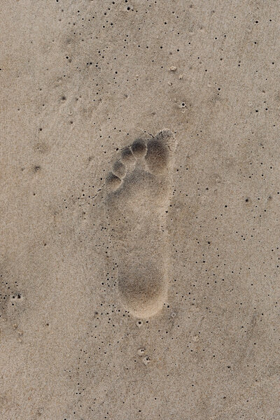 footprint sm