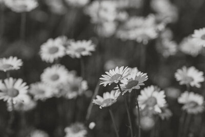 KS Forbidden Plateau Wedding B&W-04414