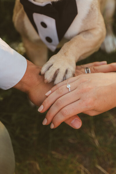 202407LoveStoryMYEB_byjanacautereelsfotografie-05389