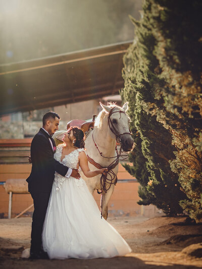 BODA_A&CH-337