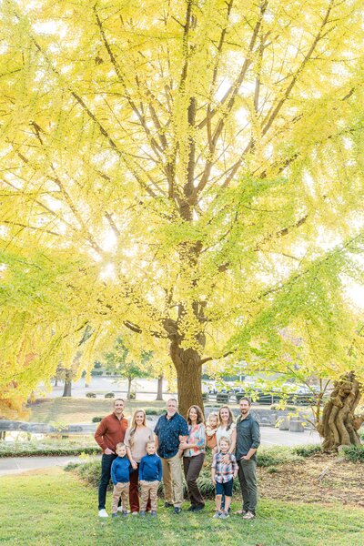 Newlyweds Mark and Emily underneath Carrigan Farms' willow tree captured by Charlotte NC wedding photographer