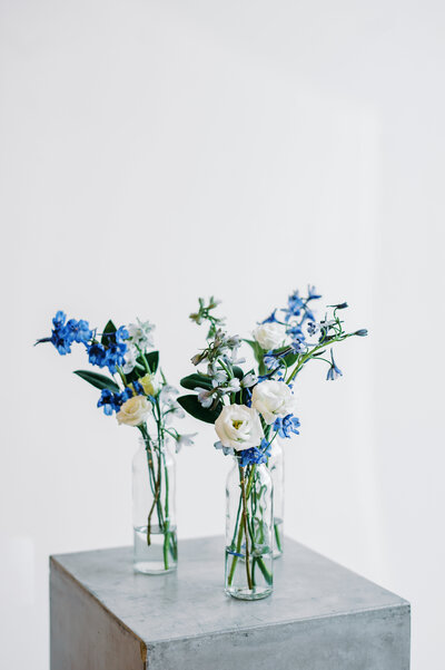 Bud Vases Naomi (1)