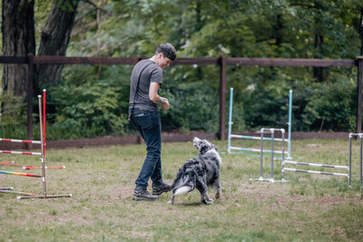 Woman walks with grey and white dog at dog park with obstacles.