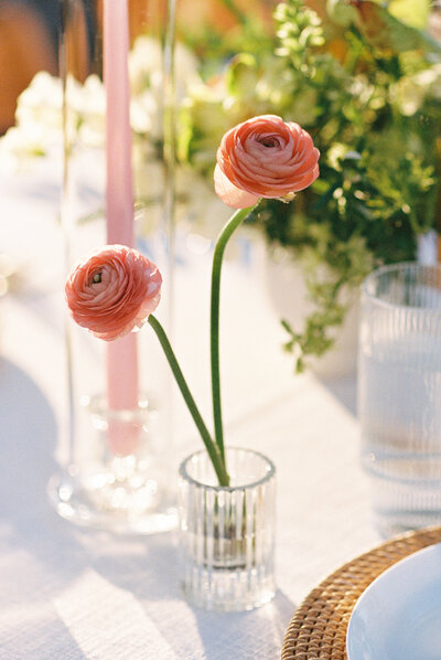 allisonbolinphoto-austin-hill-country-micro-wedding-film-126