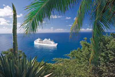 White cruise ship sailing on a calm blue ocean, viewed through tropical palm leaves and coastal vegetation.