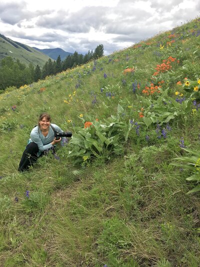 Carin Rene photographing Montana wildflowers at Waterworks Hill, Missoula