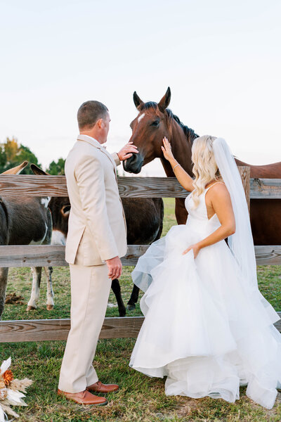 Bride and groom petting a horse at Southern Grace Farms, showcasing the venue's rustic charm and scenic outdoor spaces in Angier, North Carolina.
