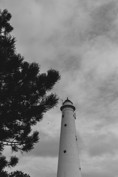 Prints DOC_5_websize