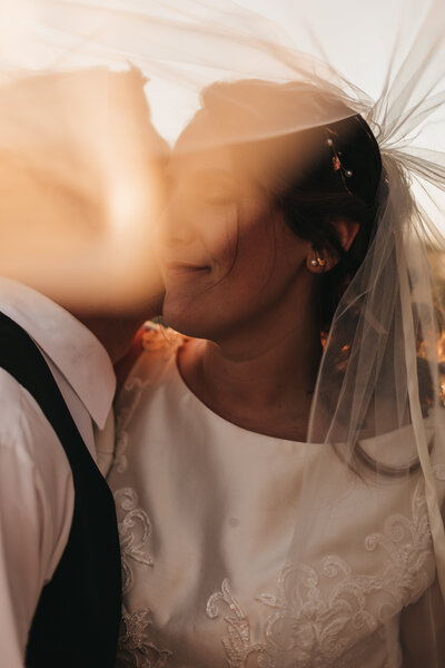 wedding veil picture