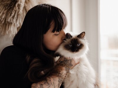 Hotel pour chats dans le Puy de dome