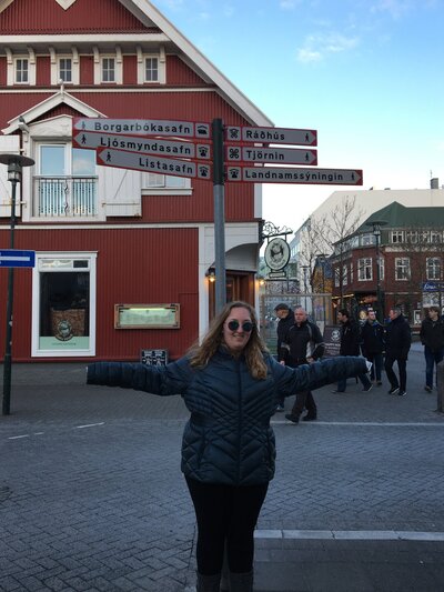 iceland 2016 1