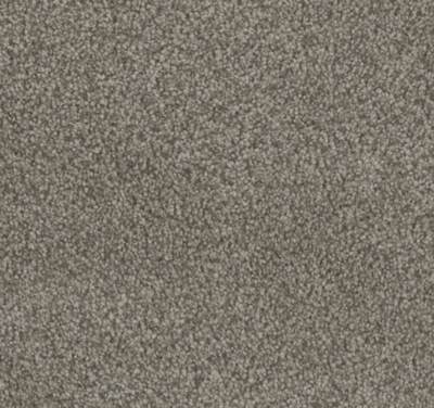 Dark, neutral frieze carpet.