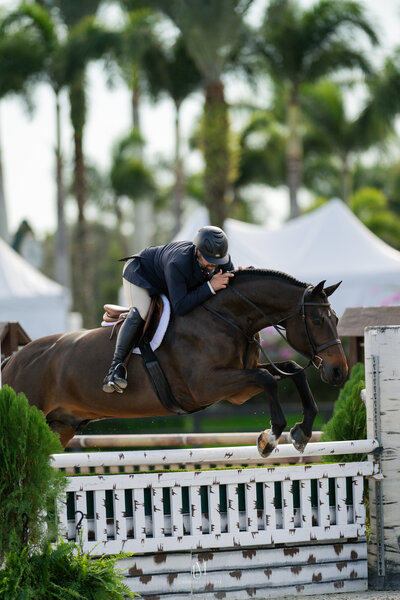 Unbridled MediaAAM_4091