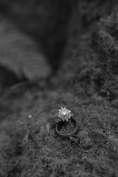T+K_2024ANNI_KAYLAESPARZAPHOTOGRAPHY-175