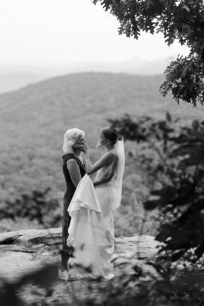 Elopement with guests in Asheville, North Carolina.