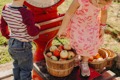 Children placing full baskets of apples on large red farm scale.