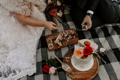 Tofte MN Elopement