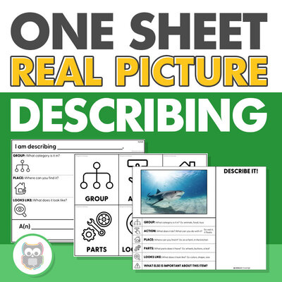 One sheet real picture describing for speech therapy - No print