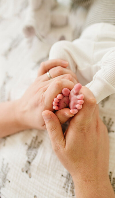 Parent's hand cupping newborn's feet, Bay Area indoor newborn photography